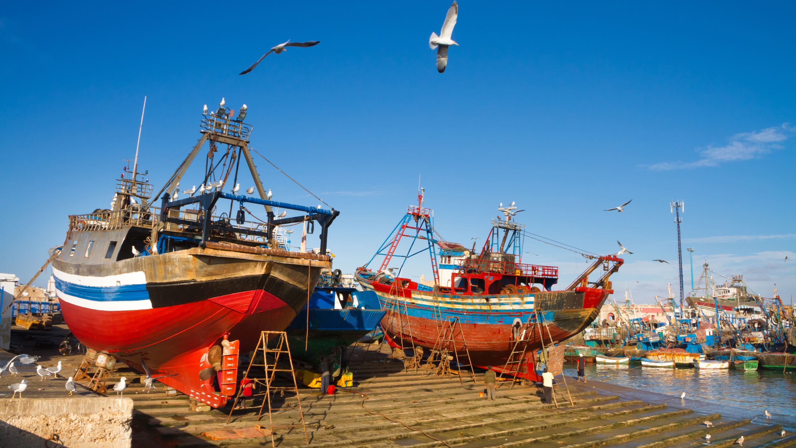 Notre histoire au Maroc - Le port d'Essaouira